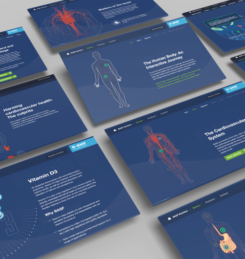Slides from the interactive website